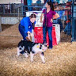 Meet your Posher, Anna